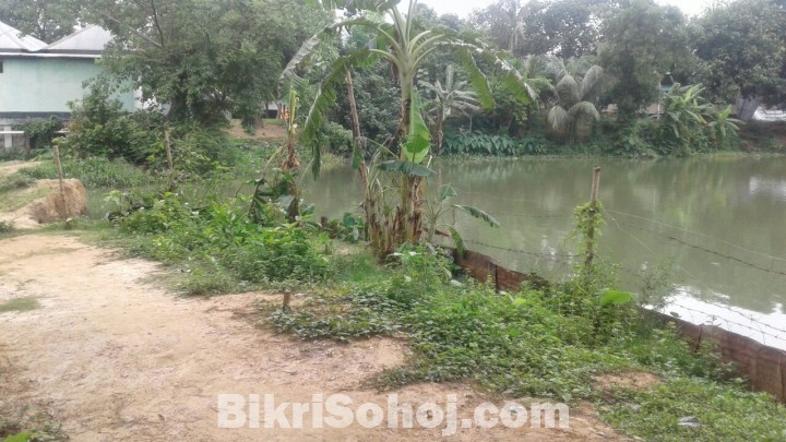 গাজীপুর এ ৩.৫ শতাংশ নির্ভেজাল জমি (বাড়ি করার উপযোগী)